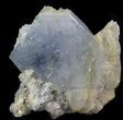 Thick, Tabular Blue Barite Crystals on Pyrite - Morocco #42224-3